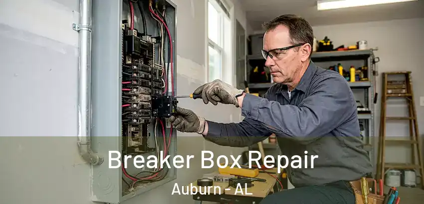 Breaker Box Repair Auburn - AL