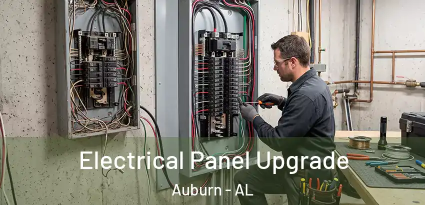  Electrical Panel Upgrade Auburn - AL