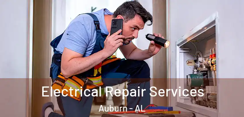  Electrical Repair Services Auburn - AL