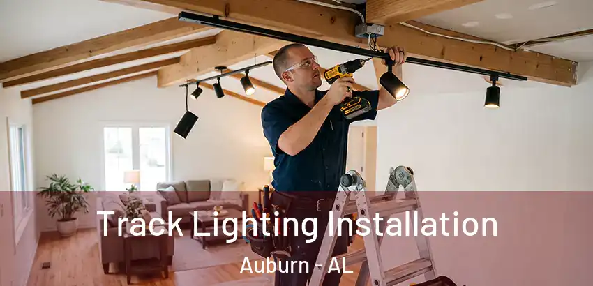  Track Lighting Installation Auburn - AL