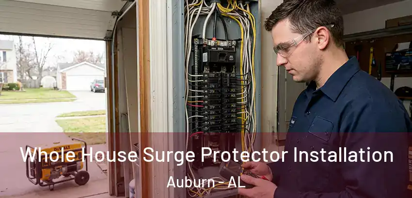  Whole House Surge Protector Installation Auburn - AL